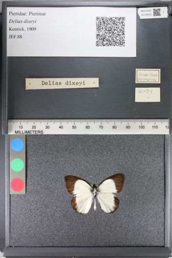 Media type: image;   Entomology 128263